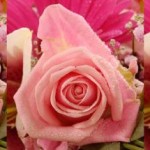 roses for mom