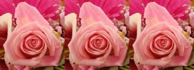 roses for mom